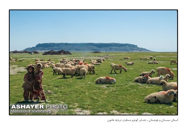 تصاویری از زندگی عشایر ایران     عکس: محمود میربزرگ